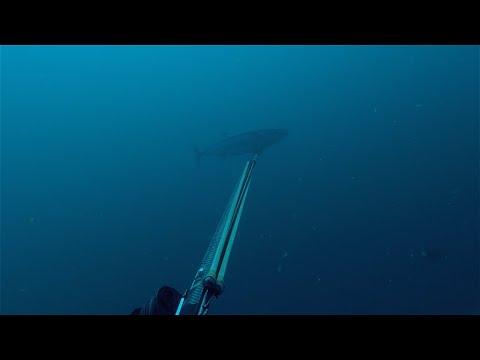 Wettie TV, SPEARFISHING Remote Marquesas TAHITI