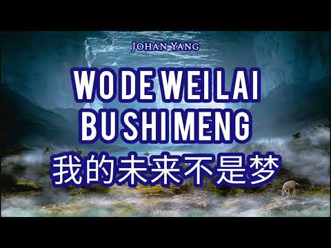 Wo De Wei Lai Bu Shi Meng（ 我的未来不是梦 ) -  No Vocal