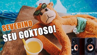 Macaco Severino - Seu Gostoso