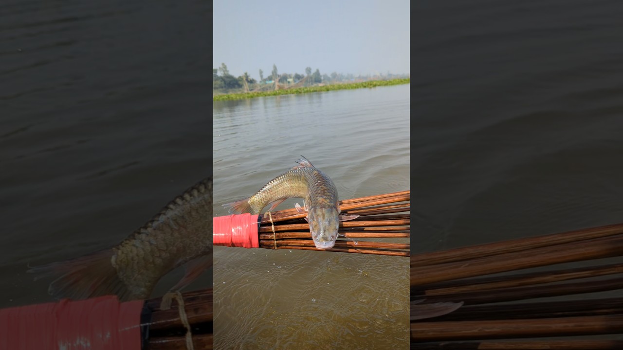 Amazing Village River Fishing |