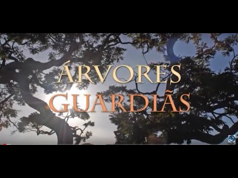 Vídeo: As Plantas São Guardiãs