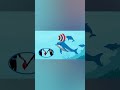 ИИ учитcя понимать дельфинов!