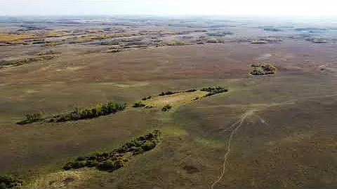 4 Quarters - Plunkett, SK Area - RM Usborne 310