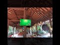 Viki tour anchor zipline