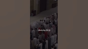 مقتطف من سورة الأنعام بصوت القارئ الشيخ أنس العمادي #انس_العمادي #قران_كريم #سورة_الأنعام