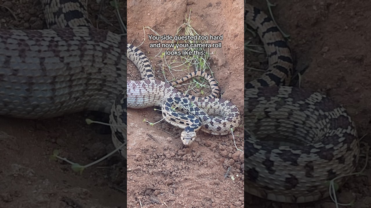 & the side quest became a whole life plot rewrite 😱 