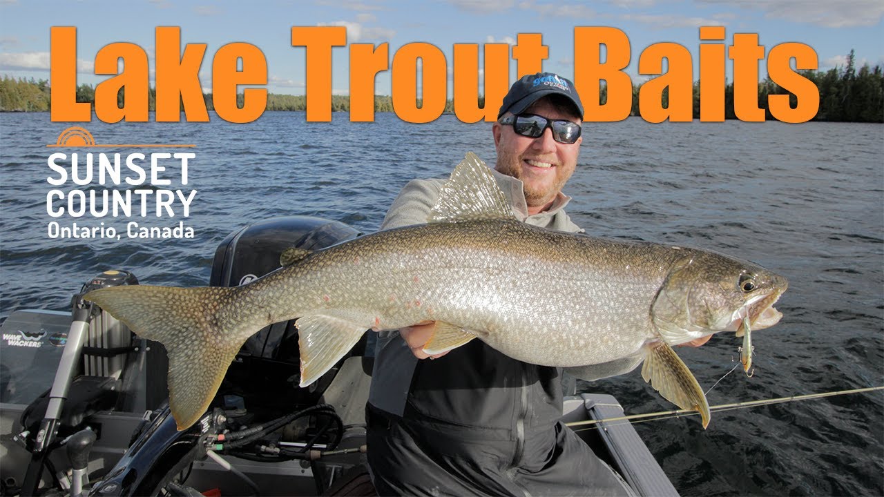 Lake Trout Baits AnglingBuzz