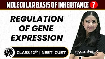 Molecular Basis of Inheritance 07 | Regulation of Gene Expression | Pure English | 12th / NEET/CUET