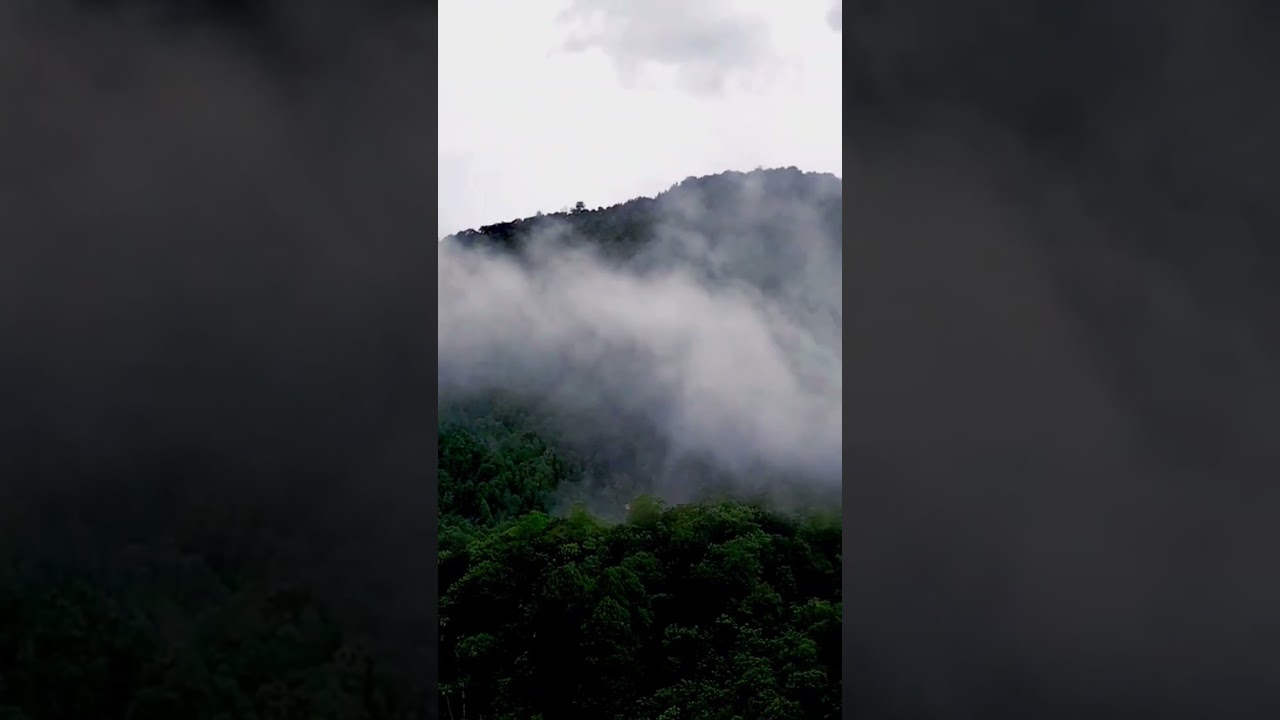 Peradeniya with an eagle eye🦅🦅😇😇 