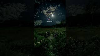 Na Life Ela Undhi Ante Karanam Nuvve💗✨