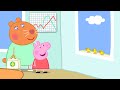 Une Journée Avec le Docteur Hamster | Peppa Pig Français Episodes Complets