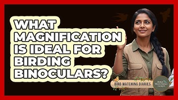 What Magnification Is Ideal For Birding Binoculars?