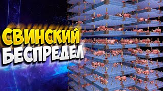 АНАРХИЯ - БЕЗУМНЕЙШАЯ ФЕРМА САЛА, БЕСКОНЕЧНАЯ ДОБЫЧА ЕДЫ