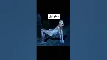 ارعب الخرافات الجزائرية 