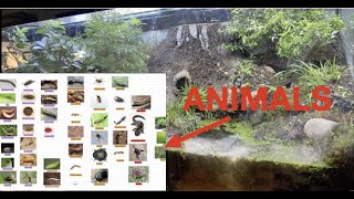 Years old giant vivarium documentary by Nordic Ants 1,587,172 views 2 years ago 58 minutes