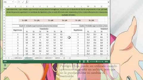 proteger libros de excel