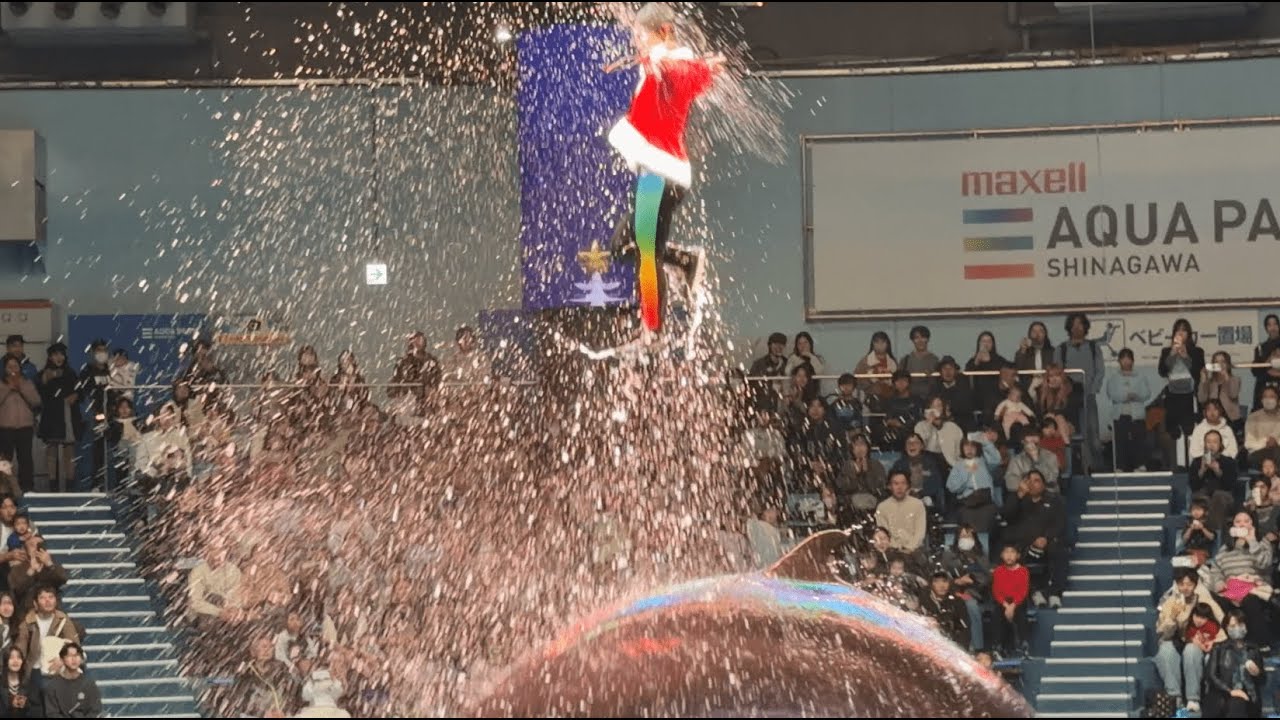 【Maxell Aqua Park Shinagawa】マクセルアクアパーク品川 水族館 デイver. イルカショー アトラクション 