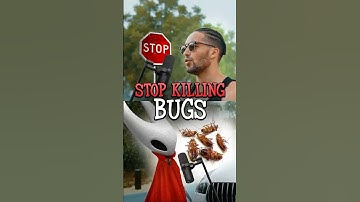 Humans, Stop Killing Bugs! #hollowknight #silksong #hornet #podcast #gaming #ai