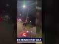 Escaped horse hit, killed, in Detroit