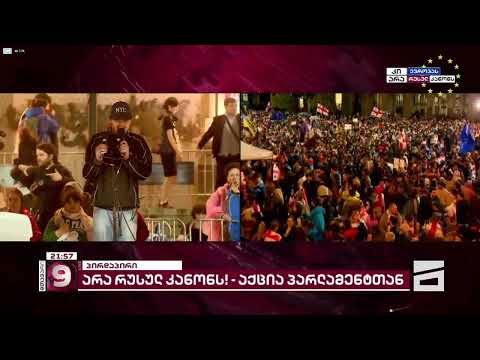 ევროპული პარლამენტების დელეგაციასთან შეხვედრის შემდეგ გამართულ მიტინგზე, რომელსაც ჟიგიმანტას პავი...