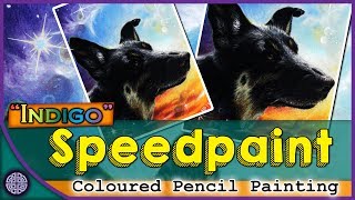Drawing & Painting a Dog in Coloured Pencil-✨ "Indigo"- Pet Portrait- Original Art #10 screenshot 3