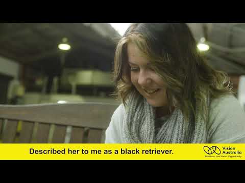 The Seeing Eye Dogs journey: From puppy to partner