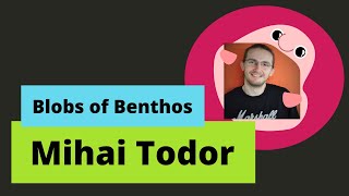 Blobs of Benthos - Mihai Todor