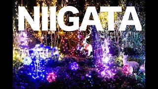 Новогодняя иллюминация в Японии, г. Ниигата / Niigata Illumination