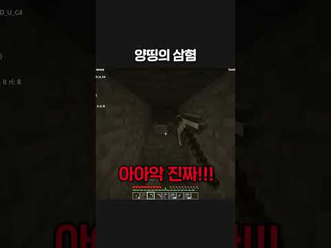 양띵의 <strong>발작</strong> 버튼