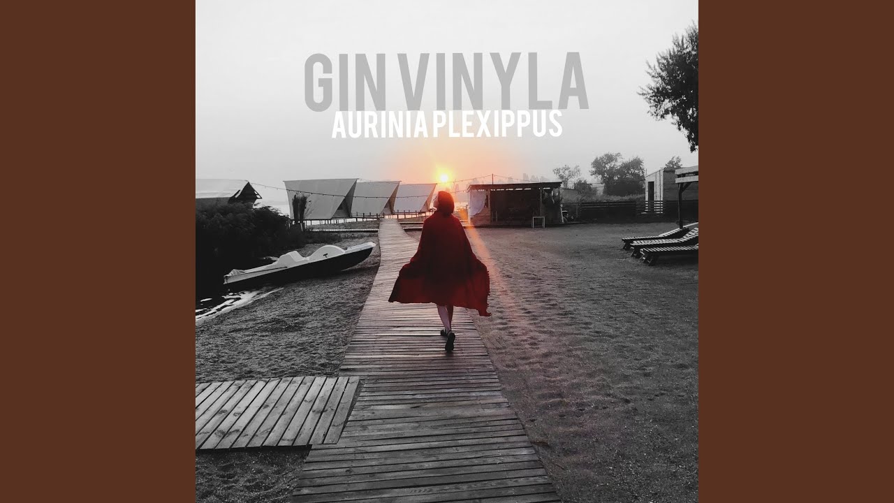 Guarda Aurinia Plexippus su YouTube Guarda Aurinia Plexippus su YouTube