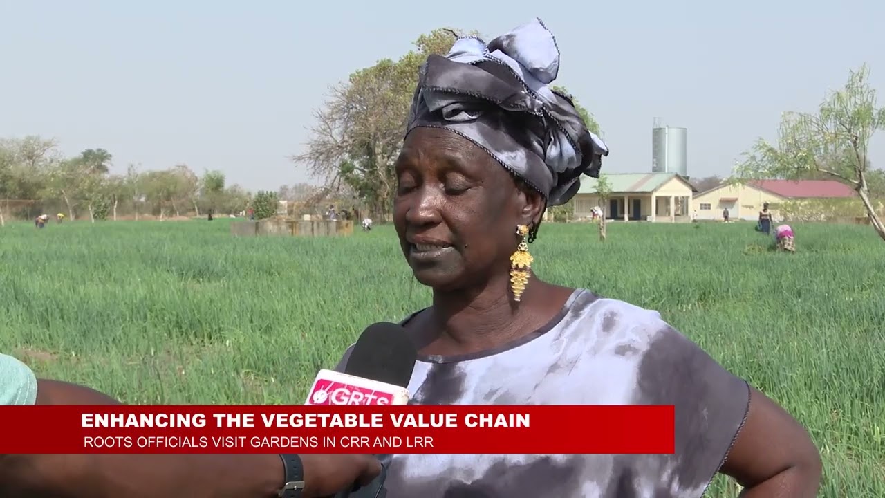 ENHANCING THE VEGETABLE VALUE CHAIN