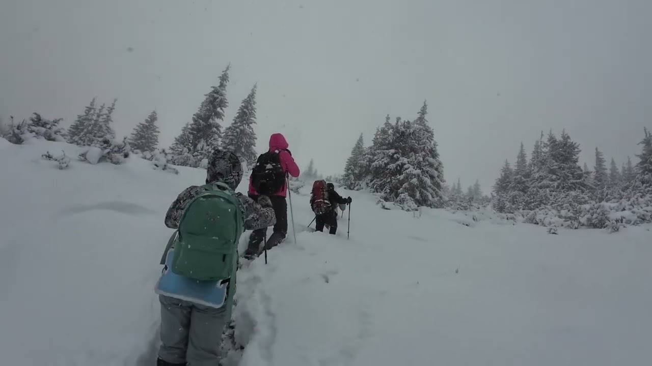 майже о.Несамовите 01.01.26