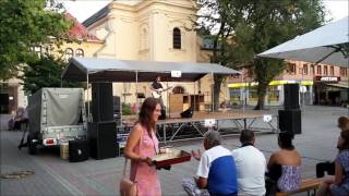 Padá dážď Allan Mikušek cover by Vlado, Spesfest 2016