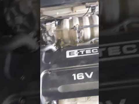 تليين عربيه دايو نوبيرا بعد الشنبر