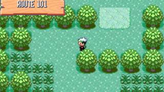 Pokemon Emerald ( Hack Comercial )