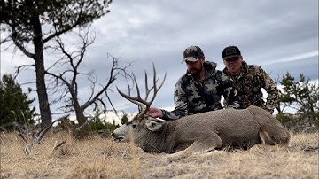 The Gutless Method in Detail #gutlessmethod #fielddressing #deerhunting #deer #biggame #hunting