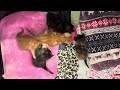 Blossom’s Kittens 4 weeks old!