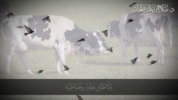 سورة الأنعام الآية  38- 41 - القرآن الكريم - د صلاح باعثمان
