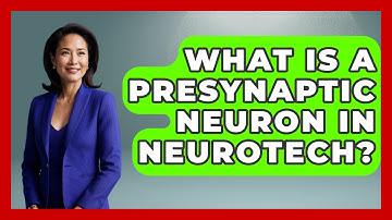 What Is A Presynaptic Neuron In Neurotech? - Neurotech Insight Pro