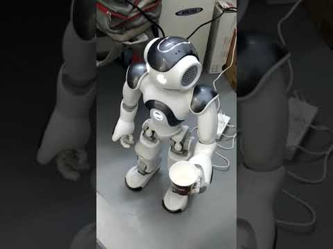 Nao robot hand simulation