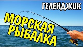 VLOG 377 Геленджик LIFE Морская рыбалка в Геленджике