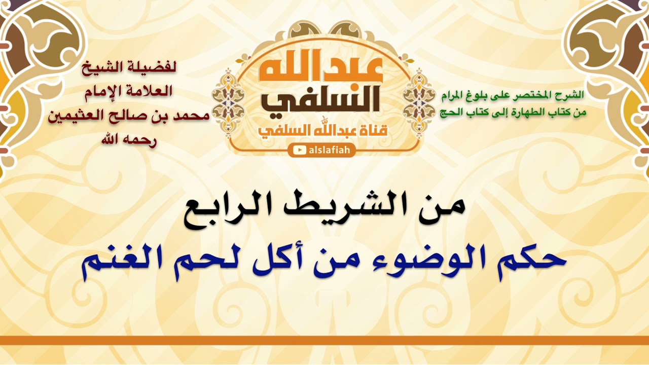 الشيخ ابن عثيمين : حكم الوضوء من أكل لحم الغنم
