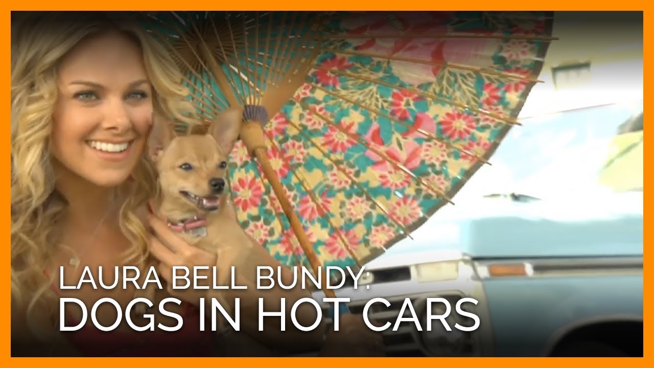 Hot bundy laura bell Laura Bell