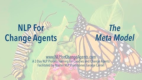 NLP for Change Agents - The Meta Model(Neuro Linguistic Programming)
