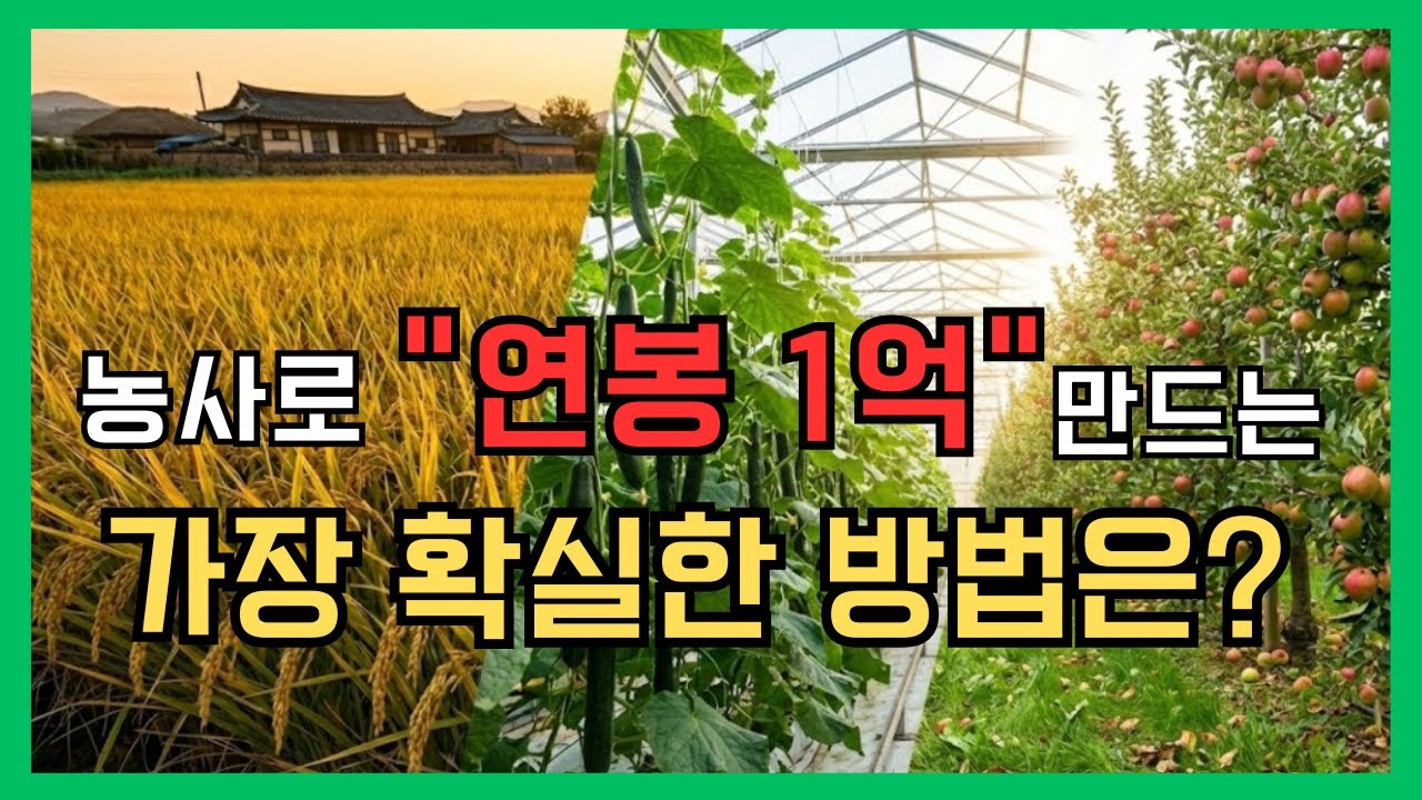 농사로 몇 평을 해야 연봉 1억을 벌 수 있을까? 막막한 부분을 정리해 드리겠습니다.(쌀 vs 오이 vs 사과 비교)