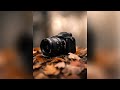 Sony A7SIII Test Footage | 120FPS | Autofocus