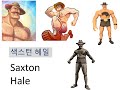 팀포트리스2 헤일 색스턴 헤일