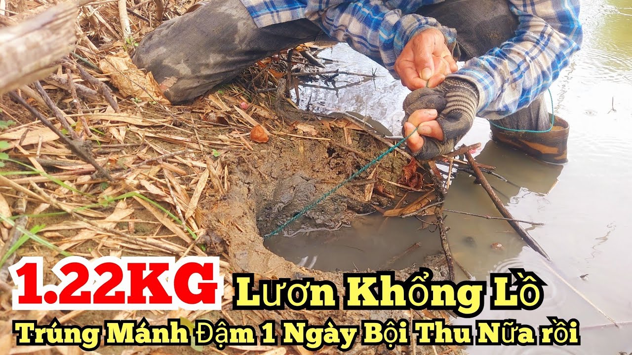 1 Ngy Cu Ln Sng Bi Thu 122KG Ton Ln Khng Trng Mnh m Na Ri Tp783Giant eel fishing
