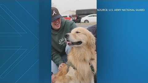National Guard brings in therapy dogs for deployed troops in DC