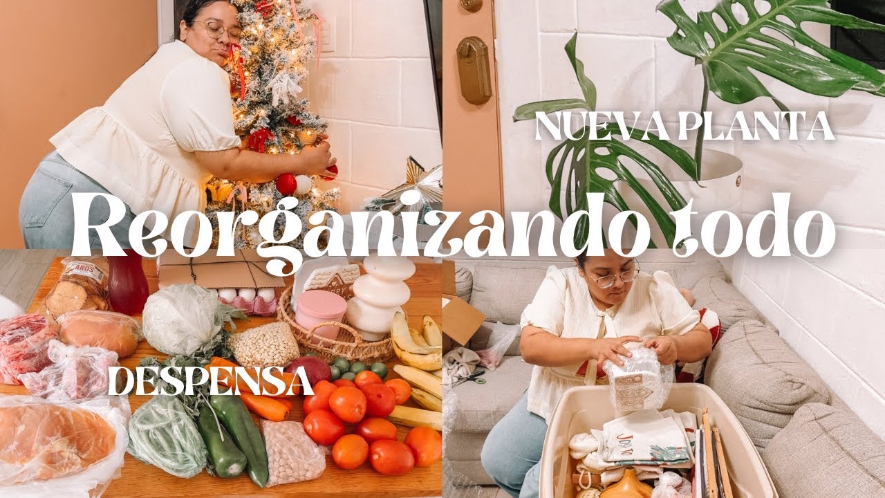 QUITANDO EL PINO✅NUEVA MONSTERA +DESPENSA PARA LA SEMANA